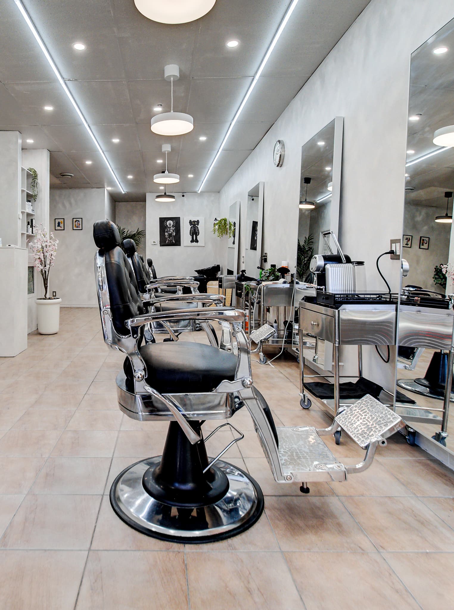 Galerie Salon Barbe Blanche 1